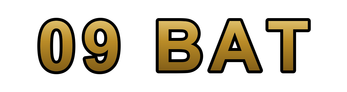 09 Bat Logo